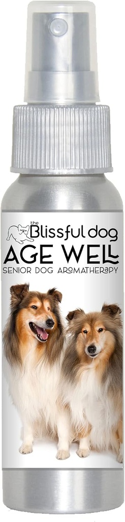 可爱的狗雪特兰羊犬时代 喷洒阿罗玛疗法