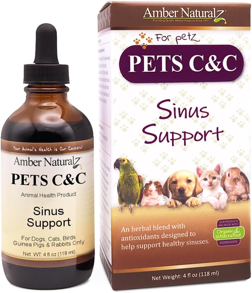 Amber NaturalZ Pet C&C 对狗、猫、鸟、几内亚猪和兔子的草药补充 QQ Pet 草药补充 4 Fluid Ounce Glass Bottle 美国制造