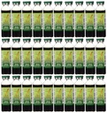 和平王子Red Panax Ginseng 超强功率 30 Vial(s)
