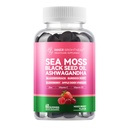 Sea Moss 4000mg Gummys with Ashwagandha, 长老莓, Apple 苹果苹果苹果苹果醋, Bladderwrack, Burdock Root – Immune支持 – Mixed Berry Flavor – 60 Count