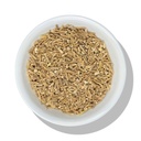 常绿草本植物志(Ashwagandha Cut & Sift 8 oz) - 印度金生或冬樱桃