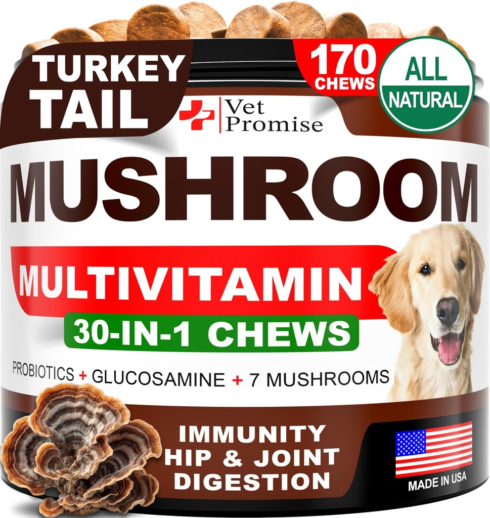 狗的蘑菇 - 170 Chews - 土耳其 Tail - 狗的蘑菇补充剂 - 狮子 Mane - Reishi - 豁免支持多维他命维生素 - 联合健康 - 能源 - 古特 - 皮肤 - 美国制造