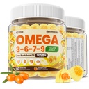 Omega 3-6-7-9 Gummys,有机海巴克特角油 1200MG & Flaxseed Oil 500MG, Vegan Omega 7 补充 W/维生素A, C, E,脂肪酸,无鱼味,支持皮肤,眼,免疫,脑健康,60Cts