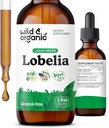 野生和有机Lobelia 叮当 - 草药肺清洁和除毒 - 液体Lobelia 提取补充 - Vegan,糖和无酒精草药滴 - 2 fl oz
