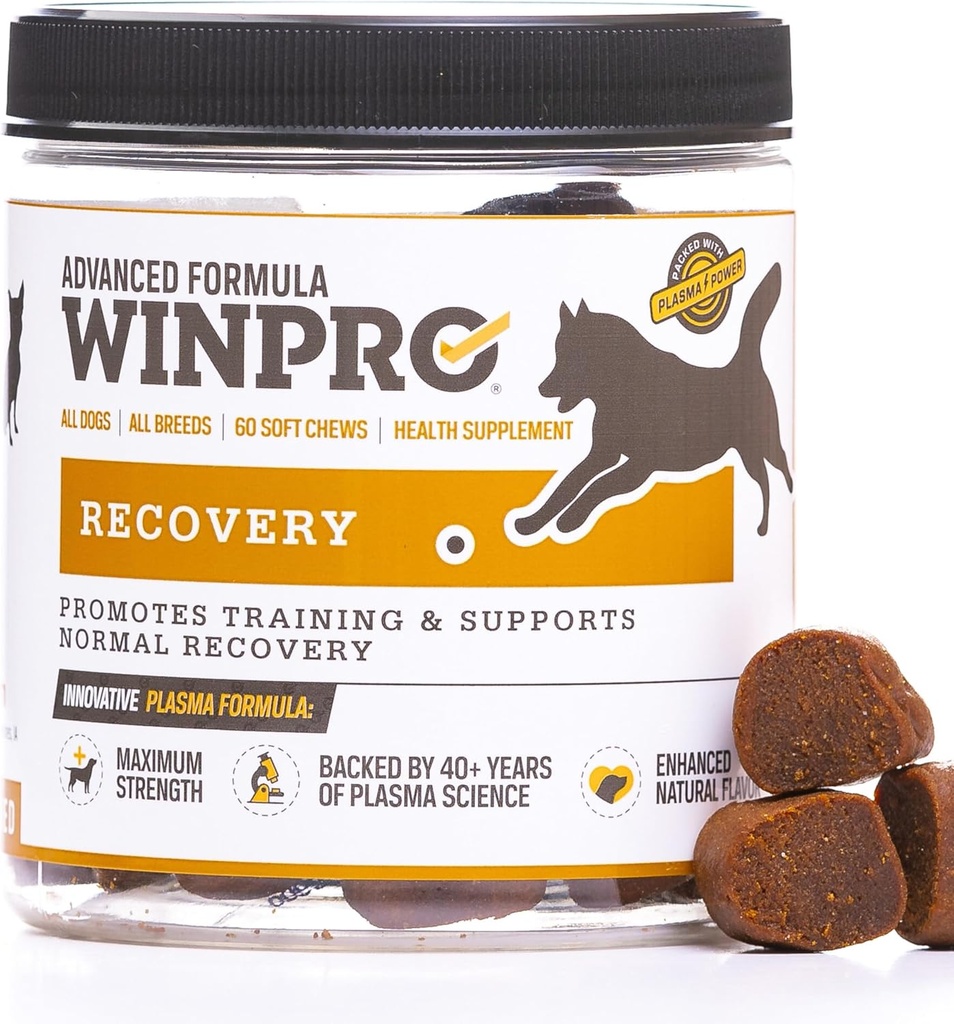 WINPRO 对狗的恢复 Chews for Dogs, Plasma- Powered for Active Dogs, Immune System Support, 以及狗培训支持竞争和运动肌肉恢复和敏捷性,60 Counter,美国制作