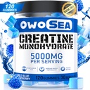用于支持肌肉能量的Creatine Monohydrate Gummys for Men and Women 5000mg Creatine Monohydrate – service for Muscle Support Energy Boost 120 Counter Chewble 5g Creatine Sugar Free Vegan (1 Pack, Blue Raspberry) 化学物质 化学物质 化学物质 化学物质