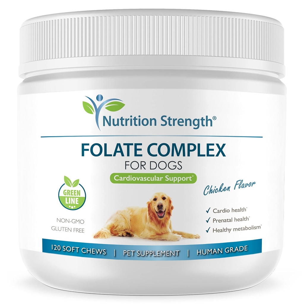 用于促进心血管和产前健康的Folate for Dogs,支持DNA合成和细胞维护,用于配有锌的狗的Folic酸,Biotin,Iron & Vitamin B12,120 Soft Chews