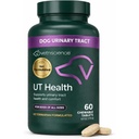 Vetri Science Quick Action UT Health Chewwable Tables, UT 强势STAT 补充狗, Cranberry, Uva Ursi, 和 Chanca Piedra 到 Soothe Urinary Tract 的不适,烟雾, 90 Counter