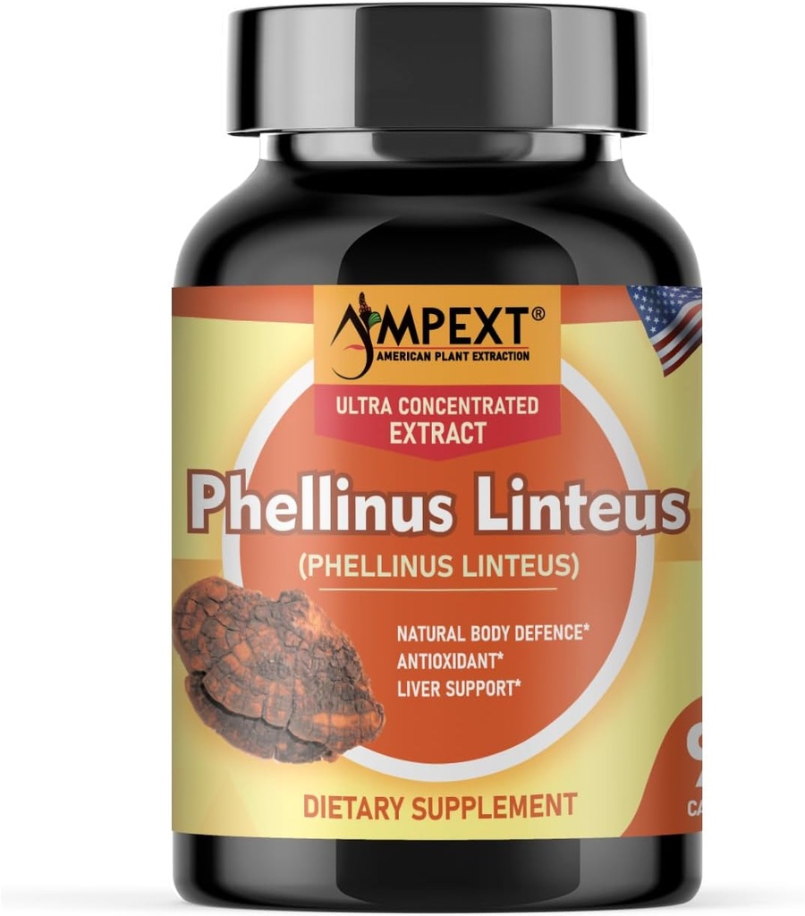 Phellinus linteus 蘑菇提取器 - Premium Quality, Only Fruiting Bodys, 抗氧化剂, 豁免助推器, 肝脏支持, 90 Veg Caps.