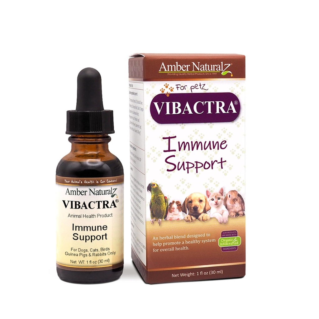 Amber NaturalZ Vibactra Imune 支持对狗、猫、鸟、几内亚猪和兔子的草药补充 – Pet Herbal Blend 总体健康 – 1 Fluid Ounce Glass Bottle – 在美国制造