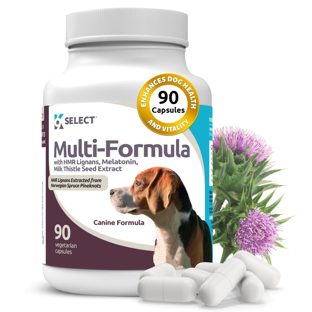 K9 中犬选择多型狗维生素 - 20mg HMR 利格南,2mg Melatonin,40mg 牛奶酸盐 - 帮助心脏,肝脏,消化和炭健康,狗多型维他命,90 Capsules