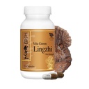 Vita Green Lingzhi Mushrom Capsules for Energy, Memory, and Immune Supports – Pure Reishi 配有天然抗氧化剂促进健康与能源的补充 – 72 Capsules