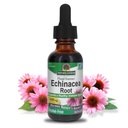 自然界的解答 Echinacea 无酒精提取 1 Fluid Ounce 推动整体健康 – 天然免疫促进器 – 炎症减少器