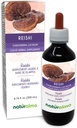 Naturalma Reishi (Ganoderma clearum) 芬古斯或蘑菇 无酒精丁香 - 6.76 fl oz 液滴提取 - 草药补充 - Vegan