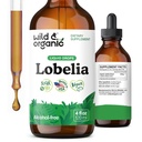 野生和有机Lobelia Tincture - 肺排毒和清洁 - 液化Lobelia草药补充 - Vegan,糖和无酒精叶提取液 - 4 fl oz