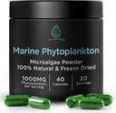 海洋植物浮游生物 Capsules 作者:Holistic Bin |在北欧海水中自然生长 | Vegan Omega 3 补充 | 富含氨基酸,氯酚,维生素,和追踪矿物