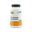 Cordyceps Capsules (Cordyceps Sinensis Mushroom Extract) - 1500mg Per Service - 能源与斯塔米纳支持 - 富于阿尔法格卢坎 - Vegan,非转基因生物,无胶囊 - 90 Capsules