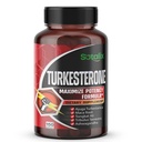 超突厥酮 Ajuga Turkestanica 与 Maca Root Tribulus Terrestris 一起将20%的突厥酮高潜质标准化 - 肌肉生长能量记忆支持