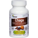 Sayan Siberian Chaga 蘑菇提取 – 90 Capsules/420mg ea – Natural & Wild-Harvest 抗氧化剂补充剂 – Immune系统支持和调节身体功能 – Vegan, N-GMO, 无填充剂或添加剂