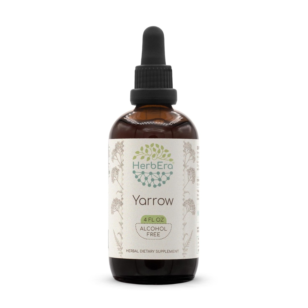 HerbEra Yarrow B120 Alcohol-Free Herbal Extract Tincture, Concentrated Liquid Drops Natural Yarrow (Achillea millefolium) (4 fl oz)