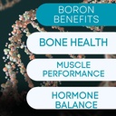 Boron矿物补充 - 30mg → 60 Counter → Trace Minerals your body needs to 维护最佳健康与健康.