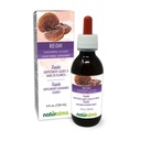 Naturalma Reishi (Ganoderma clearum) 芬古斯或蘑菇无酒精丁香 - 4 fl oz 液体在滴液中的提取 - 草药补充 - Vegan