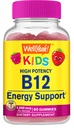 (原始内容存档于2019-09-21) (英语). Wellyeah Vitamin B12 Gummys for Kids - Boost Energy, 改善大脑功能,以及加强免疫系统 - 非GMO, Gluten-Free - Great Tasting Berry Flavor - Easy to Chew - 60 Gummys.