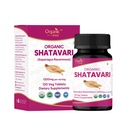Shatavari 120块牌匾 – Asparagus Racemosus (Shatavari) – USDA 有机认证 – 支持妇女健康与免疫系统 – 饮食补充 120tab