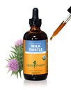 Herb Pharm Milk Thetle种子提取器,用于肝功能支持 - 4 Ounce(DMILK04)