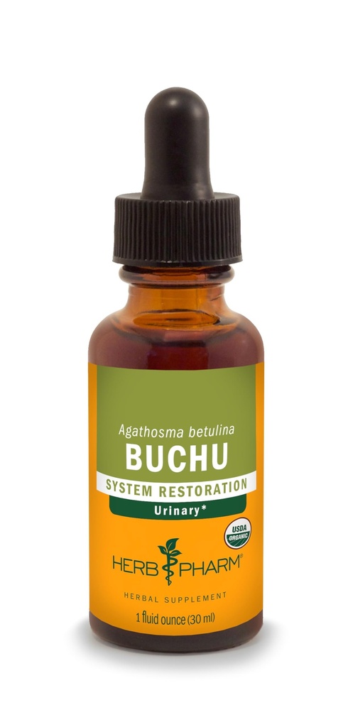 草药认证有机Buchu液体提取物,用于泌尿系统支持,1 Fl Oz