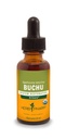 草药认证有机Buchu液体提取物,用于泌尿系统支持,1 Fl Oz