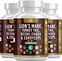 蘑菇补充剂 狮子马内 土耳其 Tail Reishi Cordyceps Chaga Marshmallow Root - 180 Count
