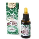 Pon Lee 巴西绿蜜蜂 Propolis 液体提取器 无酒精 30ML 1 Pack