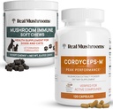 真正的人类蘑菇 Cordyceps (120ct) & Mushroom Imune Pet Chews (60ct) - Bundle for Energy, Vitality & A豁免 - Ashwagandha, Astragalus & More - Vegan, Non-GMO, Gluten - Free, Grain - Free