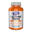 现在的食物L -Glutamine纯粉 6 oz