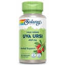 SOLARAY Uva Ursi Leaf 460 mg → 健康刀锋、肾脏和尿性Tract功能支持 → 非GMO → 100ct(Take 3 Daily)