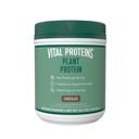 重要蛋白质蛋白粉 – 20g 植物基蛋白与奇克皮亚 – 1B CFU Gut Probiotic for Health, no Added Sugar – Cocolica, 16.5 oz