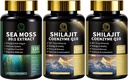 Sea Moss和Shilajit Capsules for Men & Women, All in 1 Supplements with Shilajit, Sea Moss, Coenzyme Q10, Black Seed, Ashwagandha, Burdock for Energy, Antioxidant & Immune Supports 互联网档案馆的存檔,存档日期2013-12-27.