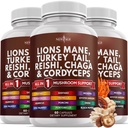 新AGE狮子马内蘑菇 与土耳其的Tail Reishi Cordyceps Chaga 与Marshmallow根 180 计数