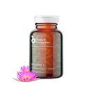 原生公式还原 3 蛋白质解酶 & Spore Probiotic Blend 补编 - 60 Capsules - 高级生物膜干扰援助 - 支持 GI 健康, Fibromyalgia, Gut Flora, 肌肉