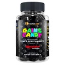 ALPHA LION GEANS Candy,"肌肉泵和血液流动补充药丸","硝酸氧化物助推剂","支持精神焦点","利用每日提升健身表现",63 Capsules (Nitrosigine)