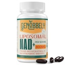 800毫克 Liposomal NAD+ 与Nicotinamide Riboside 200 mg,Trans-Resveratrol 100 mg-DNA修复、健康衰老、大脑功能-60天供应的真NAD补充