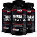 FORCE FACTOR Tribulus Terrestris for Men, 3-Pack, Tribulus Testosterone Buster for Men, 男性生命力补充, Tribulus 提取和自然添加剂用于高级吸收, 1000 mg, 180 capsules