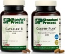 标准过程心脏和代谢支持 Bundle - Cataplex B & Cardio-Plus 饮食补充集 - 心脏循环和能源生产援助补充集 - 维生素B的心血管支持