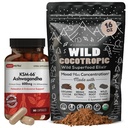 Daily Nutra KSM 66 Ashwagandha (90 Capsules)和蘑菇 Cacao Mix (16oz) 放松和聚焦包