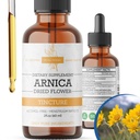 Arnica液体提取器 — 无酒精, Vegan, 支持肌肉恢复和联合安慰, 快吸小叮当, 在美国制造 – 2 Fl Oz