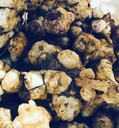 有机耶路撒冷 Artichoke Tubers (Helianthus tuberus) - Sunchokes, Sunroot或耶路撒冷 种植或饮食用Artichokes - 5 烟台手工业用 Tubers