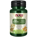 Now Pet Health, G. I. 支持补编,为猫和狗配制,NASC认证,90可切片