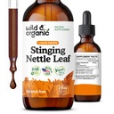 野生和有机 Stinging Nettle 叶片提取滴 - 尿液切除支持 - 液态 Stinging Nettle 补充剂 - Urtica Dioica Tincture - 2-Month 供应 - Vegan,糖和无酒精 - 2 fl oz