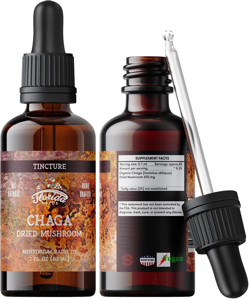 Chaga 叮当、野生收获的Chaga 提取器(Inonotus obliquus)